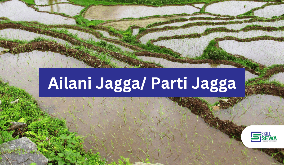 understanding ailani jagga and parti jagga in nepal